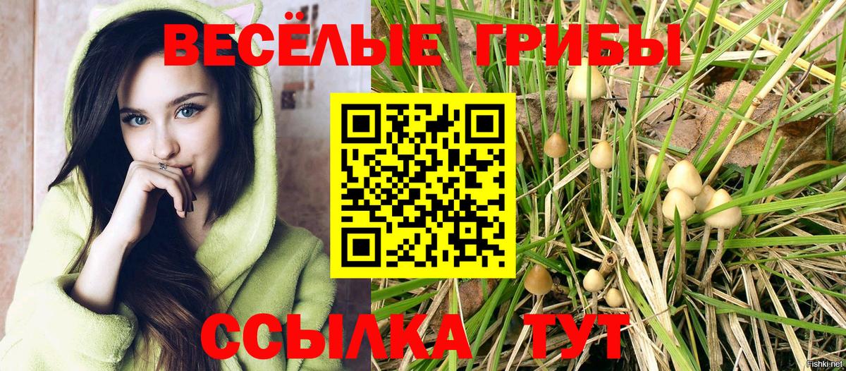 Псилоцибиновые грибы Psilocybe  купить наркотик  Ялуторовск  Вход с VPN 